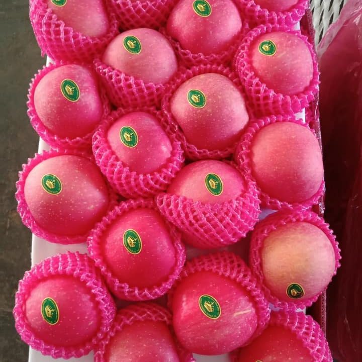 apple-9crown
